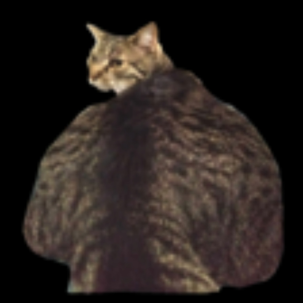 Howdy - Picture 2 of 2